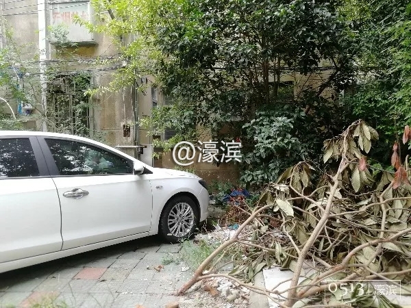 老破小、脏乱差?新桥新村是这样吗?