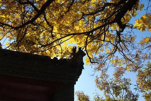 郁达夫故都的秋好在哪里,郁达夫故都的秋小说