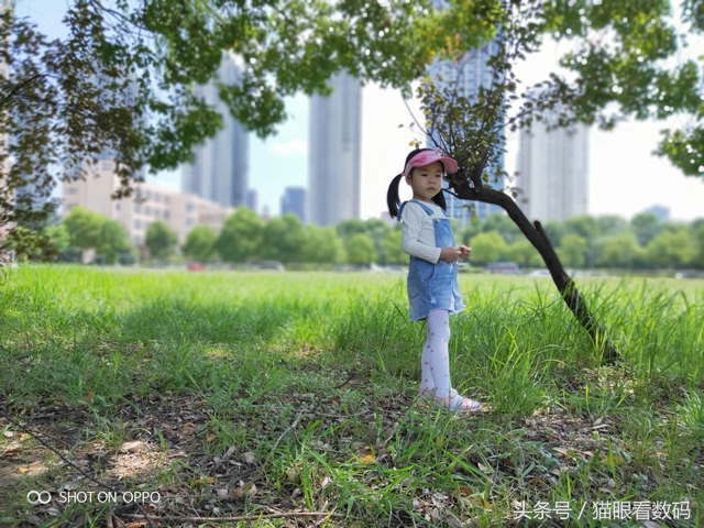 oppor17拍照技术,oppor17拍照好看吗