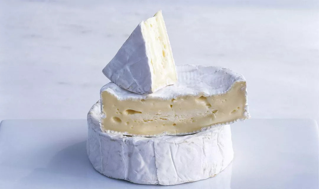 芝士力量完整版,芝士力量系列