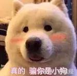 婚前婚后老公颜值差距搞笑对比,婚前vs婚后夫妻对比照