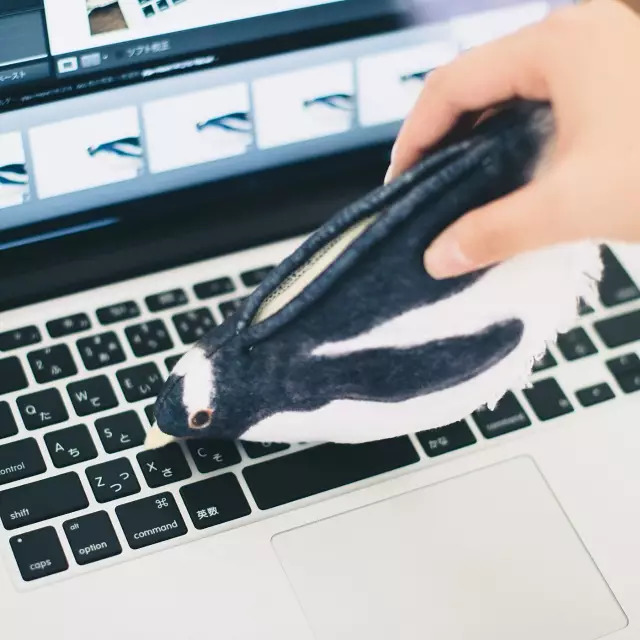 日本人家里东西太多,日本必备10种东西