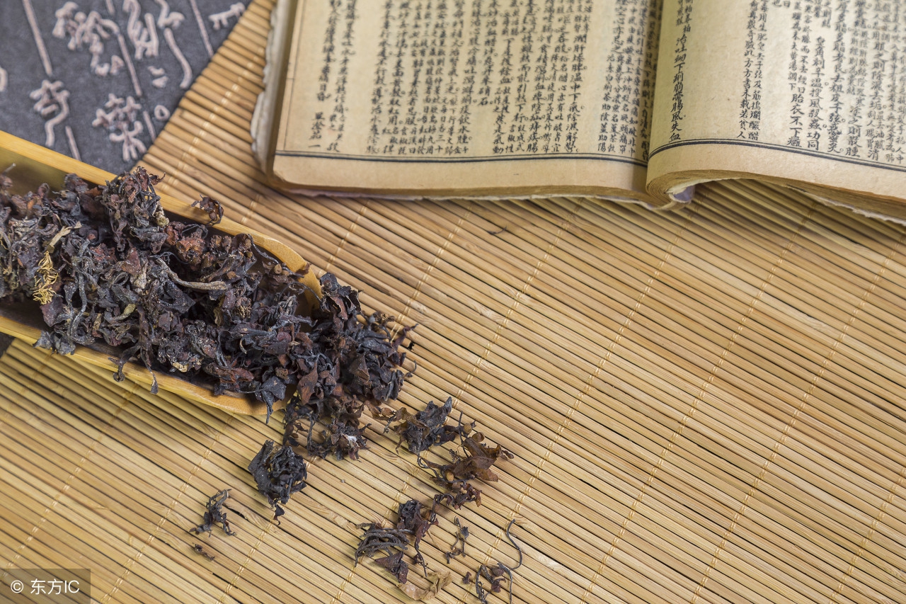 流行歌里的海藻，是中医对症的良药，消解乳腺、痛风肿块很有效