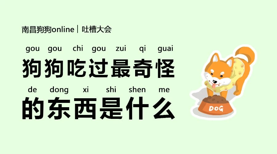 吐槽大会狗狗事件,吐槽大会泰迪犬