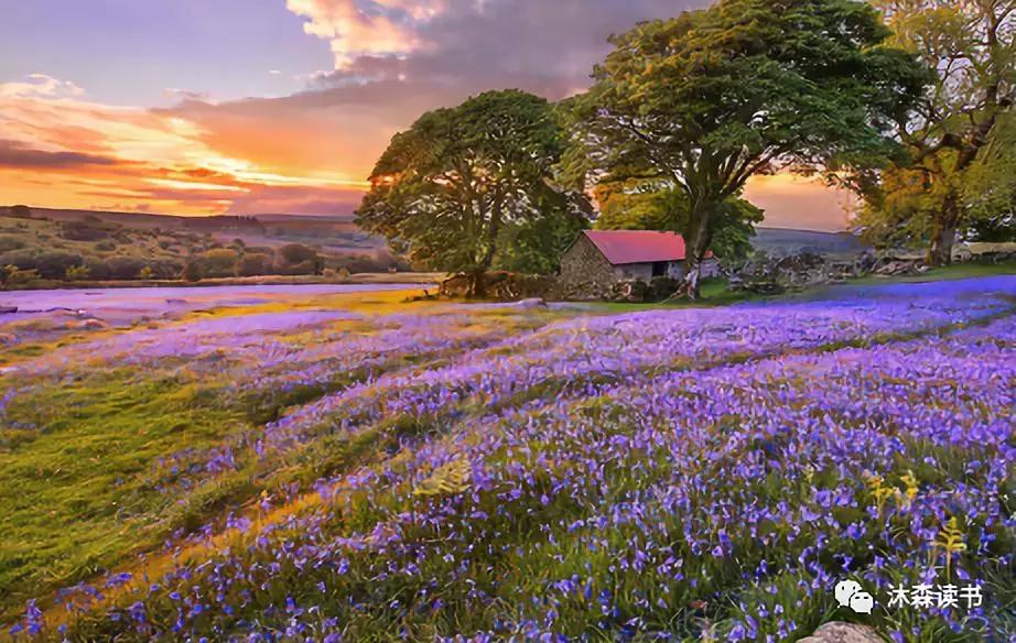 请多和我说说话吧背景,请多和我交谈用英语怎么说