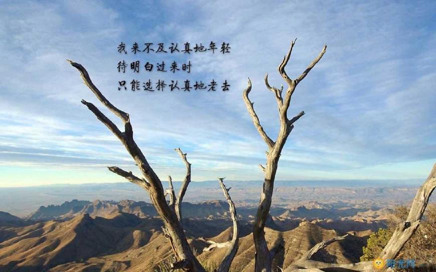 孙子兵法激将法,孙子兵法用正兵挡敌以奇兵制胜