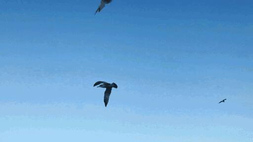 大连帆船出海最佳时间,大连帆船出海看日落