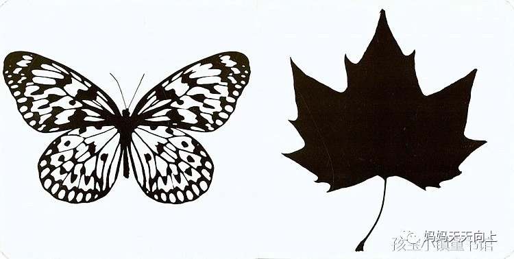 宝宝必买的绘本9个月,婴幼儿必读绘本