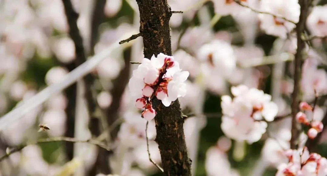 想做护士应该学什么专业,想做护士要考什么
