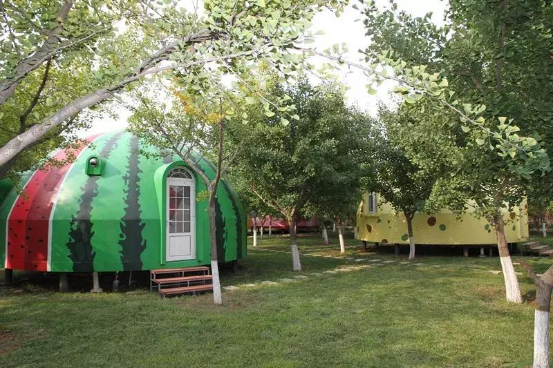 潍坊金宝乐园2022年初一免费吗,2010年潍坊金宝乐园快乐向前冲