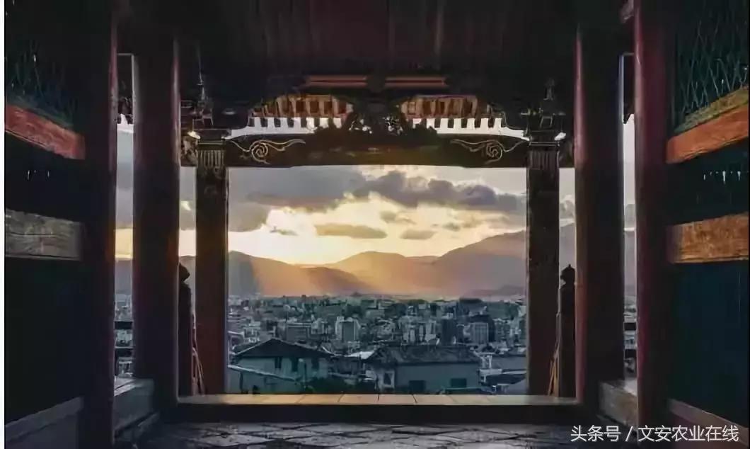 为什么日本农产品没有竞争力,为什么日本农产品可以走高端路