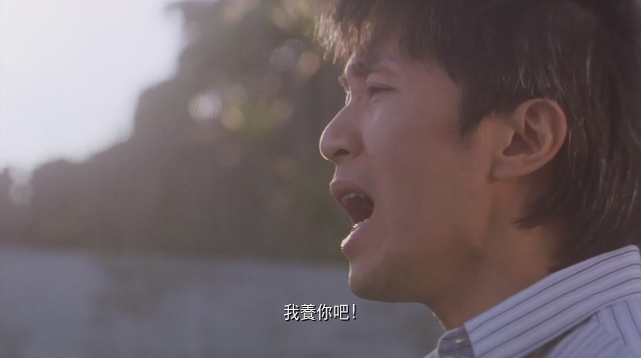 今天给你们看看那些闲得要命、富得流油的猫！