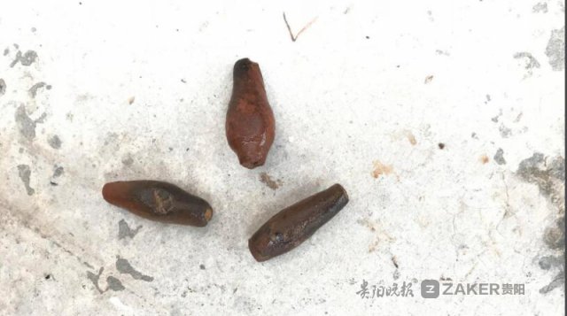 习水河流域发现汉代聚落遗址