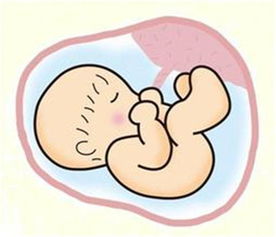 做四维宝宝趴着看不到心脏怎么办,做四维的时候宝宝趴着怎么办