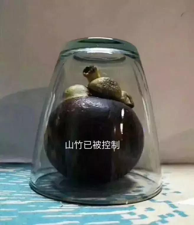 BBIC2018落下帷幕，欧洲梦之队战胜红牛全明星队