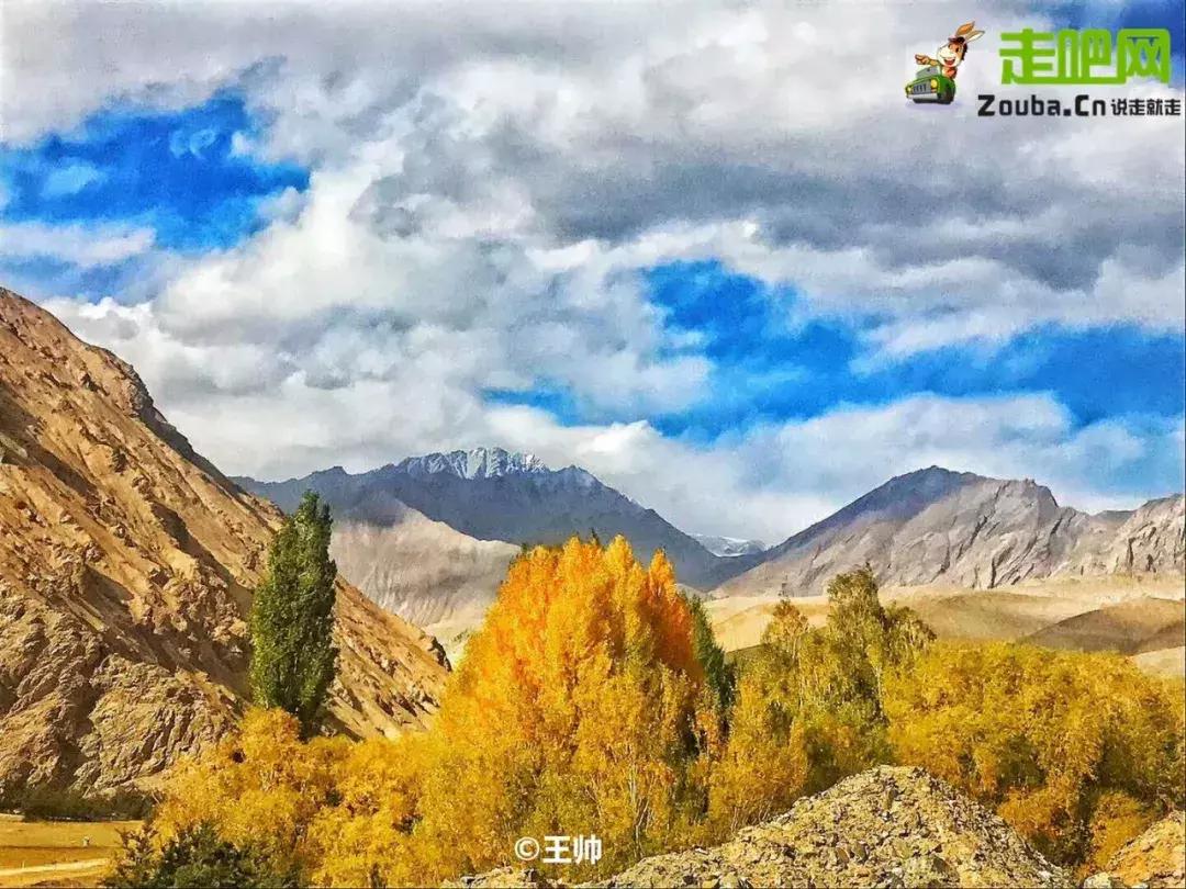 跟着大咖体验南疆最经典路线，玄奘东归路、沙漠胡杨、民俗风情！