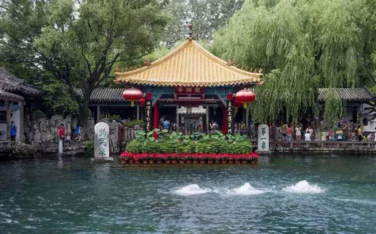 山东成功挺进全国八强,山东省挺进八强