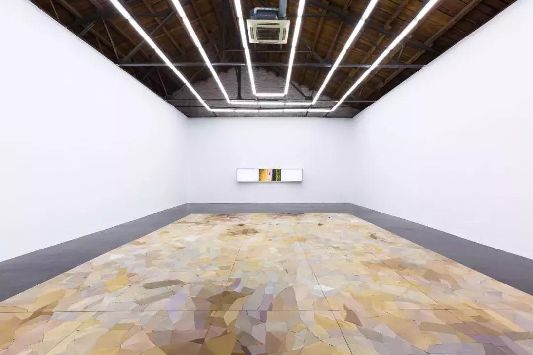 80后女孩，割舌自述：我们是最受压迫的一代