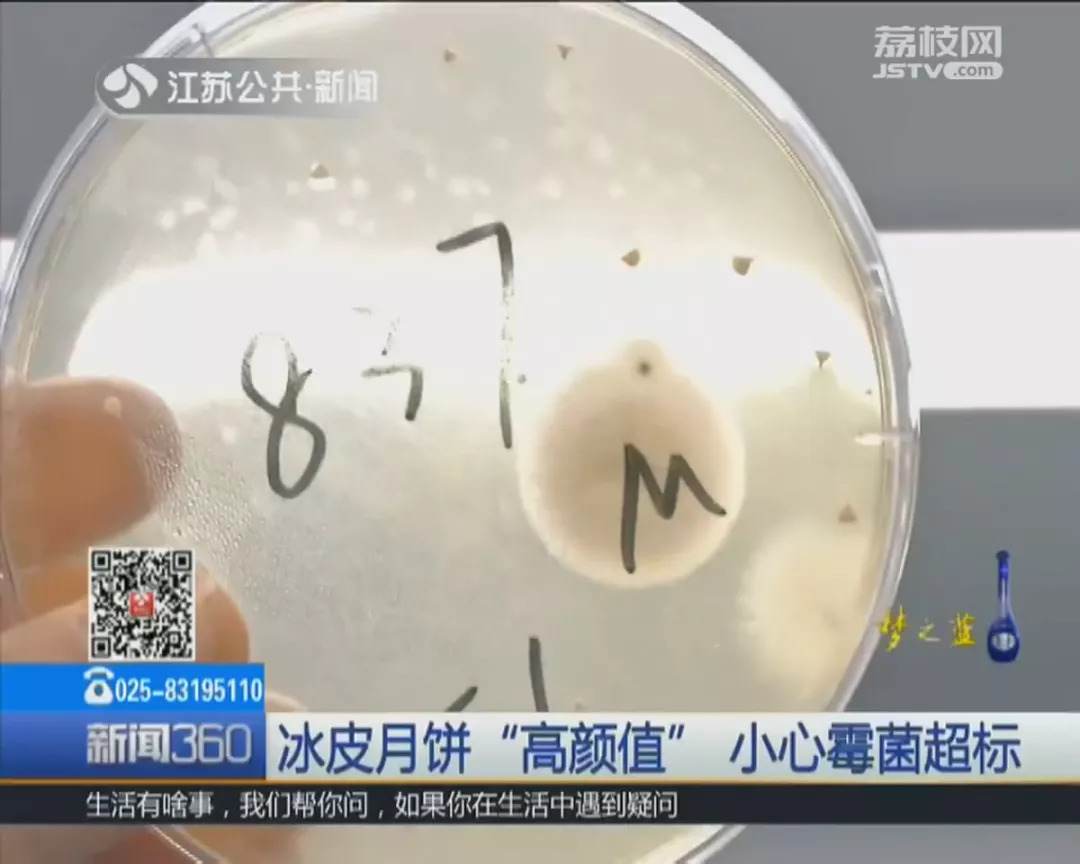 紧急提醒这些月饼不合格,月饼常见的质量问题