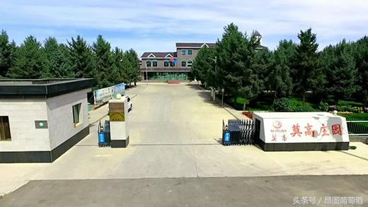 莫高红酒在全国排名,莫高葡萄酒获奖