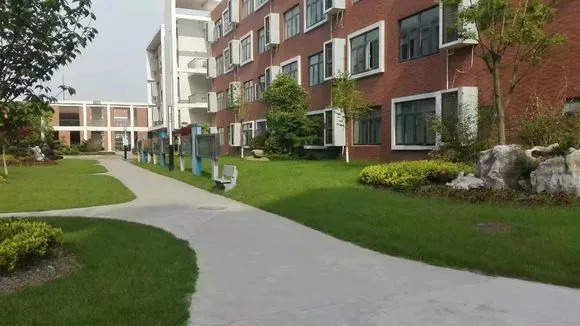 证大中学高考2019,证大初中招生