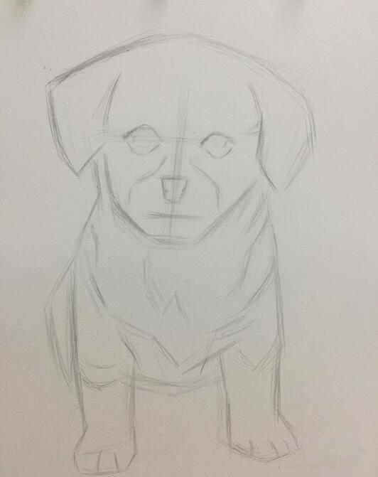 初学画简单小狗,画小狗儿童画涂色