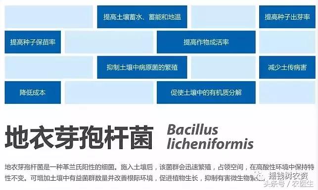 微生物菌肥与微生物菌剂的区别,微生物菌剂与微生物菌肥的分别