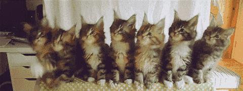 100句常用于打招呼的英语口语，不同场合不同心态，学起来吧！