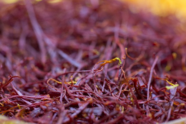 生活在*藏西**多年的“外来物”，竟隐瞒着自己的身份