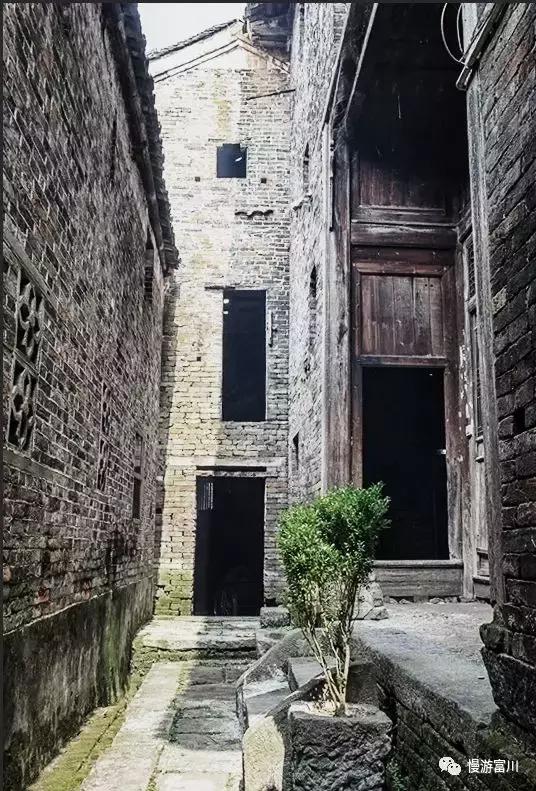 富川山清水秀,富川有树林的地方