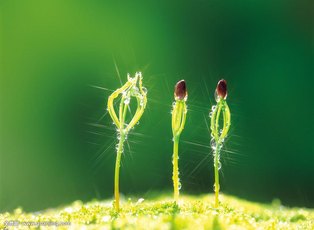 程迁飞董事长,一个走在创业路上的80后老板