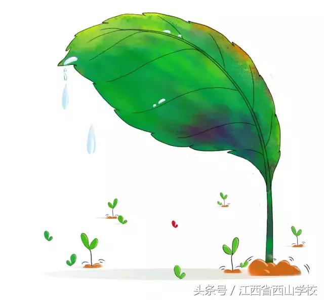 西山学校真的好吗,西山的孩子上学