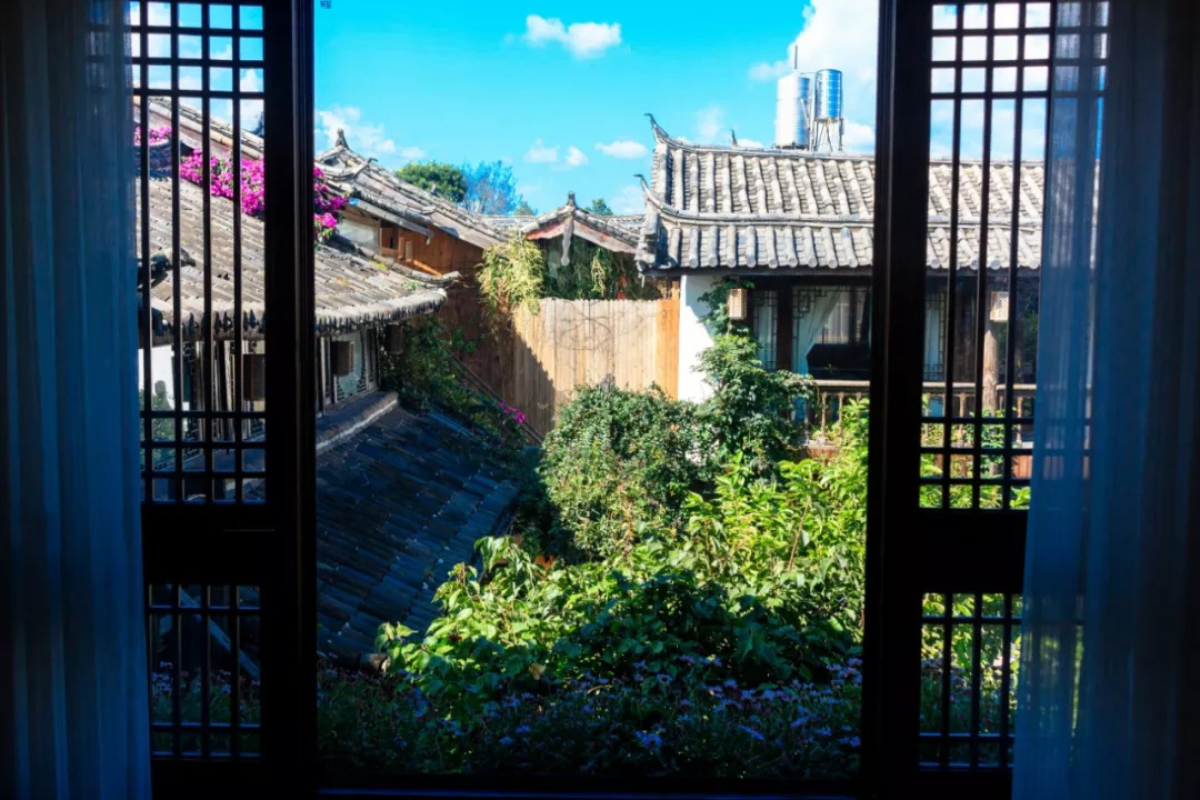 离开故里赴香港30载，玉龙雪山依然屹立为她守候丨丽江·久木居舍