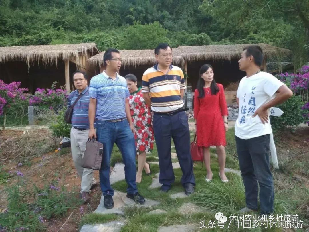 农业体验活动创意项目,休闲农业体验活动评估