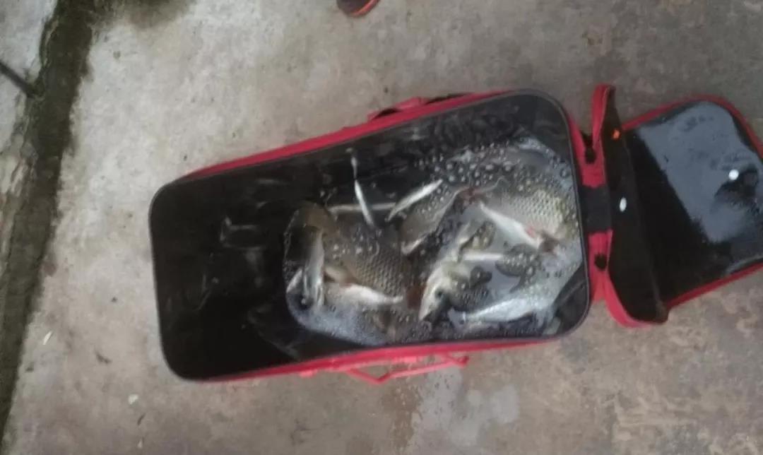 南部县升钟湖钓鱼视频,南部县升钟湖钓鱼价格