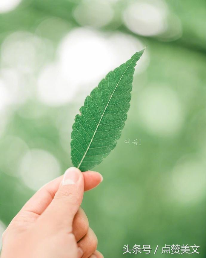 微信很火的走心个性签名,微信朋友圈个性签名高级感