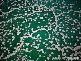 死海为什么淹不死人呢,死海含盐量高是什么原因