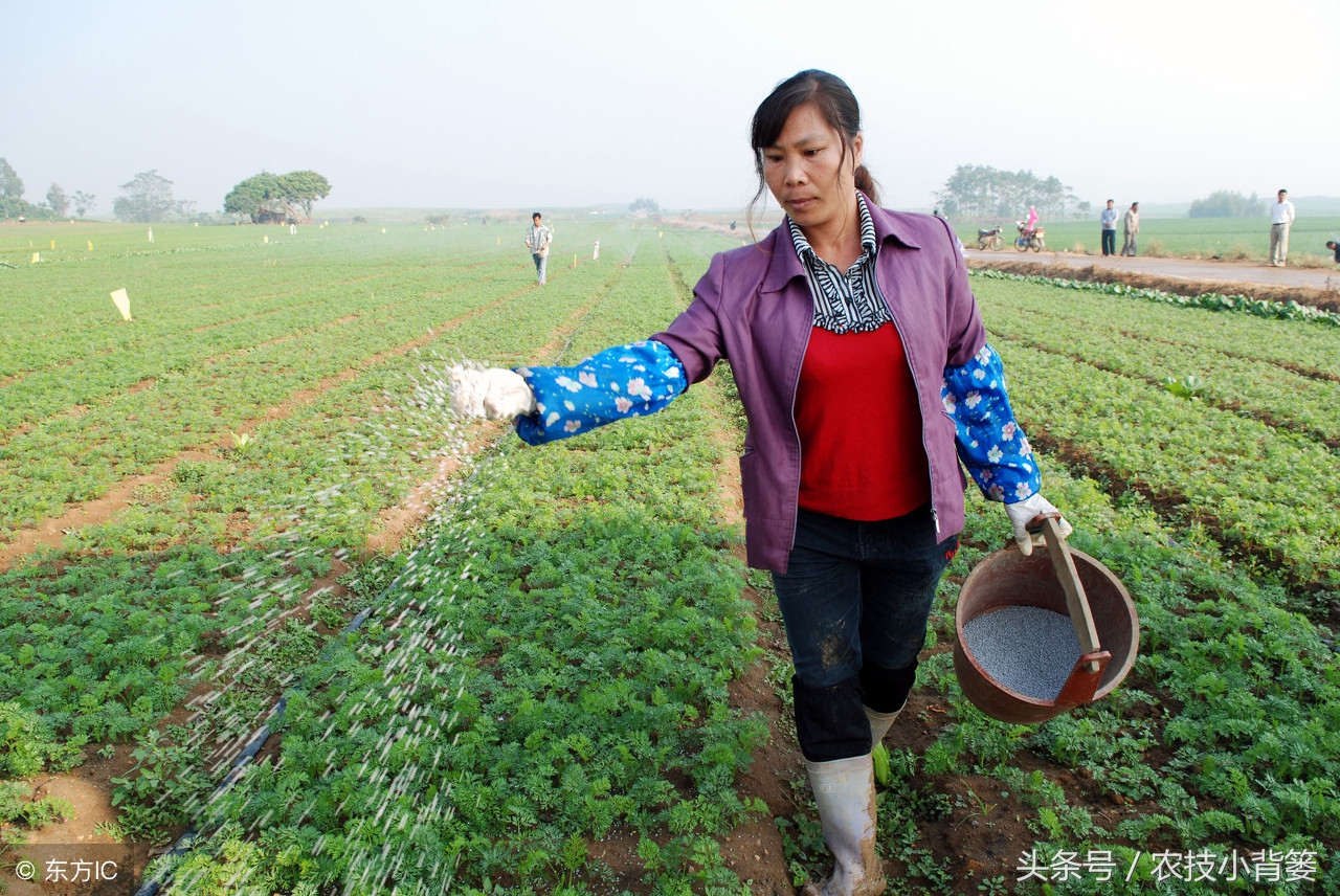 氯化钾和复合肥哪种好,氯化钾和硫酸钾哪个水溶性更好