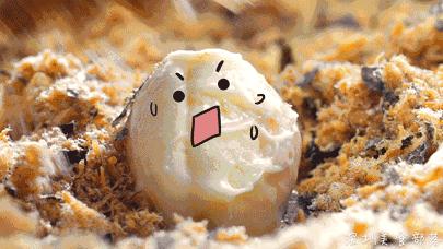 全国最火爆的8种街边小吃 (火遍全国的的街头小吃)