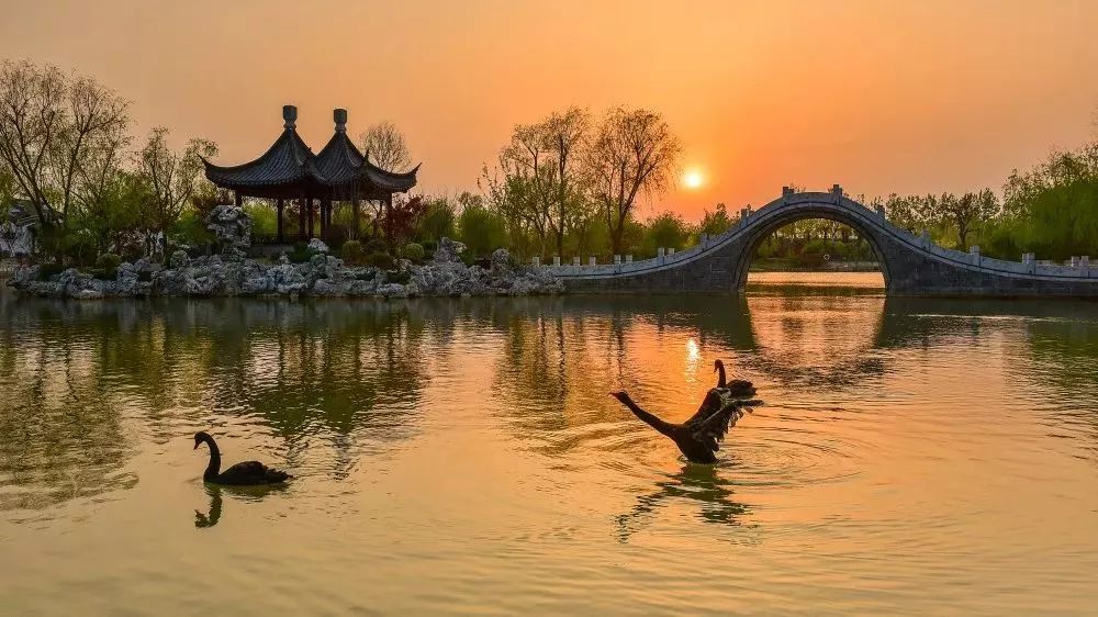 等有钱了回农村安逸生活,等有钱了真的不想打工了太累了