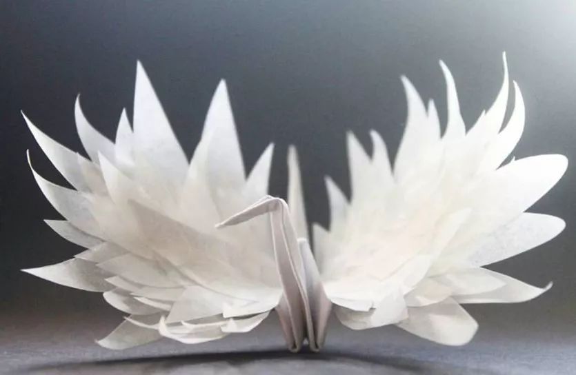 每天折一个千纸鹤,每天折一只纸鹤