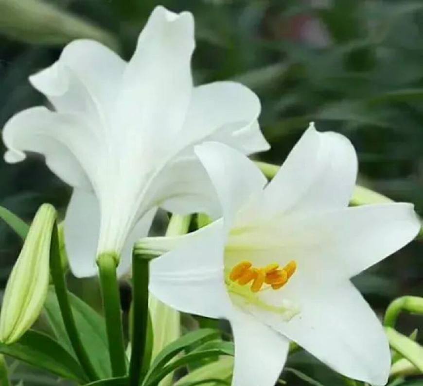 时光荏苒岁月如梭莫要蹉跎岁月,匆匆岁月唯有时光不可辜负