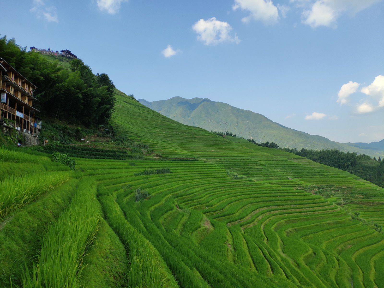 醉美广西龙胜梯田,广西秋天的龙脊梯田