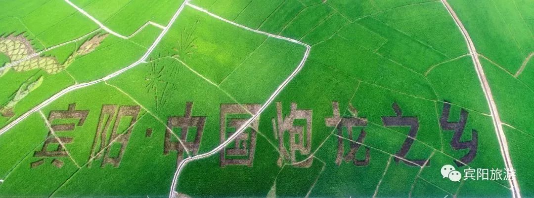 宾阳古辣邀请函,2020年宾阳县古辣