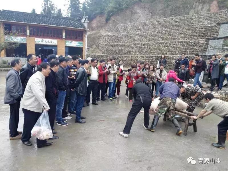 三峡猕猴桃 (中国农民丰收节博山猕猴桃)