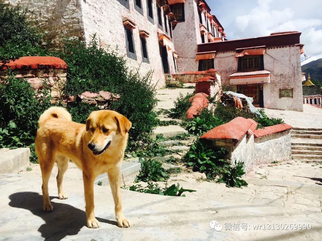 甘丹寺一日游详细攻略,甘丹寺旅行