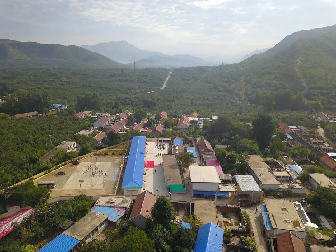 志愿者、新城控股和他们的七色光计划