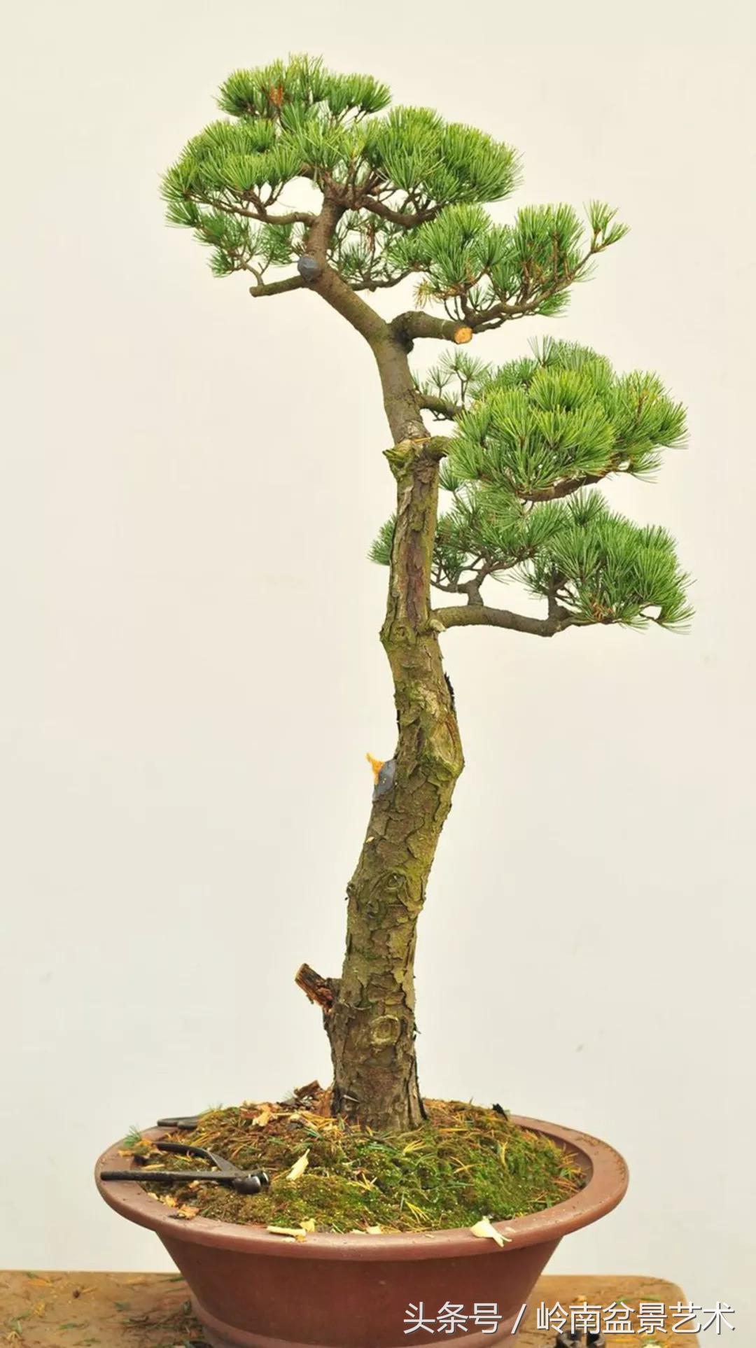 神来之笔绘画作品欣赏,神来之笔书法作品大全