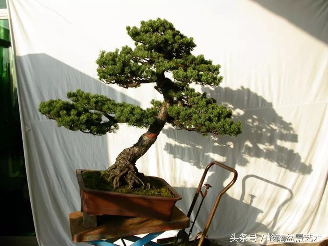 神来之笔绘画作品欣赏,神来之笔书法作品大全