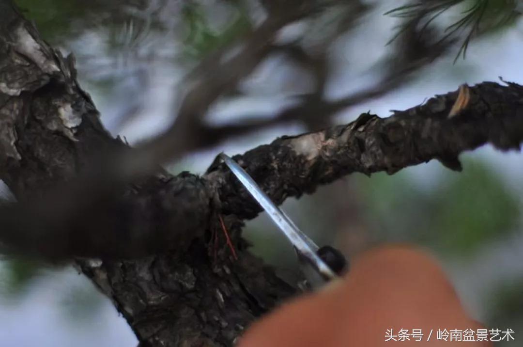 神来之笔绘画作品欣赏,神来之笔书法作品大全